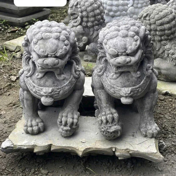 con-nghe-xi-mang-be-tong
